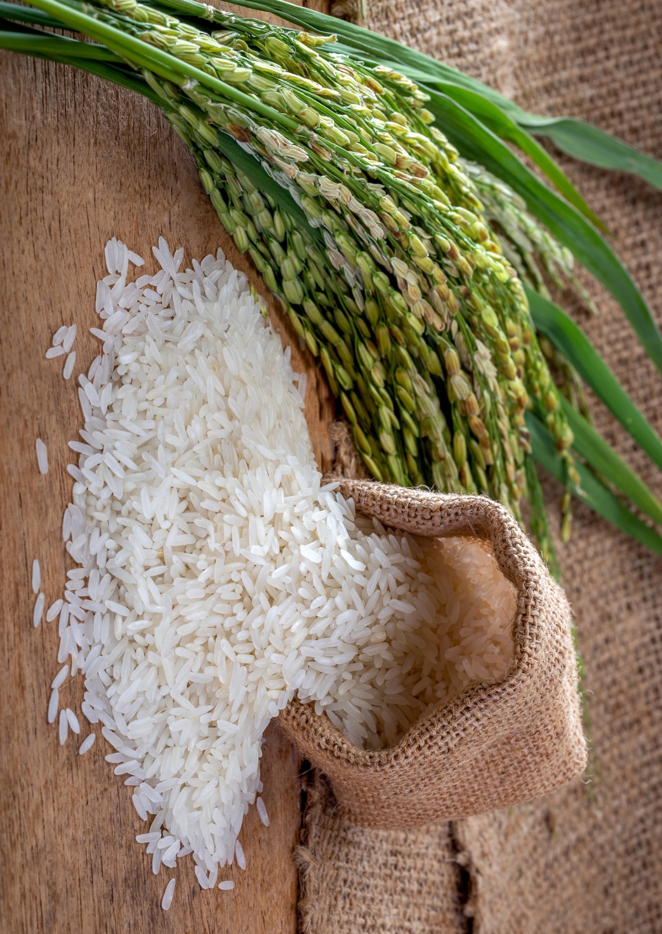Sona Masoori Rice